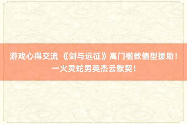 游戏心得交流 《剑与远征》高门槛数值型援助！一火灵蛇男英杰云默契！