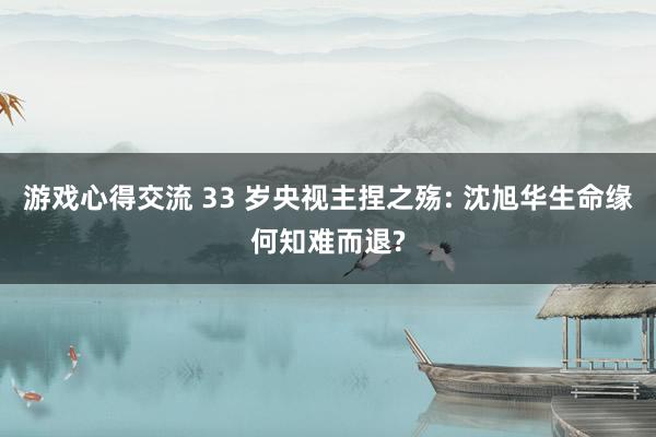 游戏心得交流 33 岁央视主捏之殇: 沈旭华生命缘何知难而退?