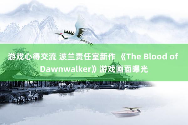 游戏心得交流 波兰责任室新作 《The Blood of Dawnwalker》游戏画面曝光