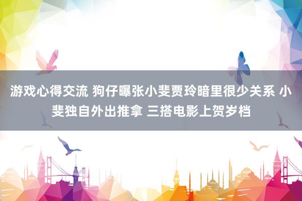 游戏心得交流 狗仔曝张小斐贾玲暗里很少关系 小斐独自外出推拿 三搭电影上贺岁档