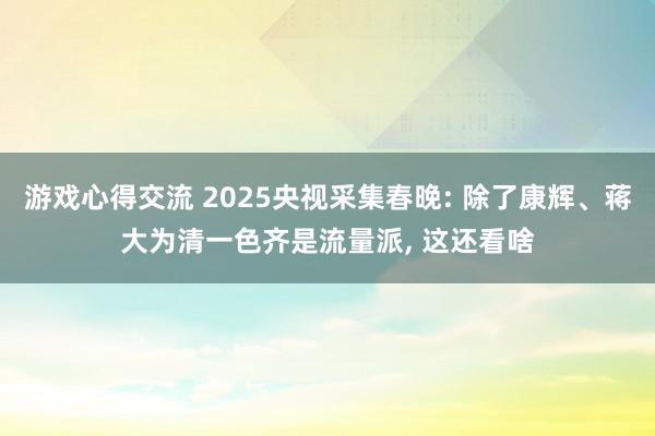 游戏心得交流 2025央视采集春晚: 除了康辉、蒋大为清一色齐是流量派, 这还看啥