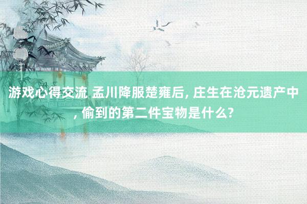 游戏心得交流 孟川降服楚雍后, 庄生在沧元遗产中, 偷到的第二件宝物是什么?